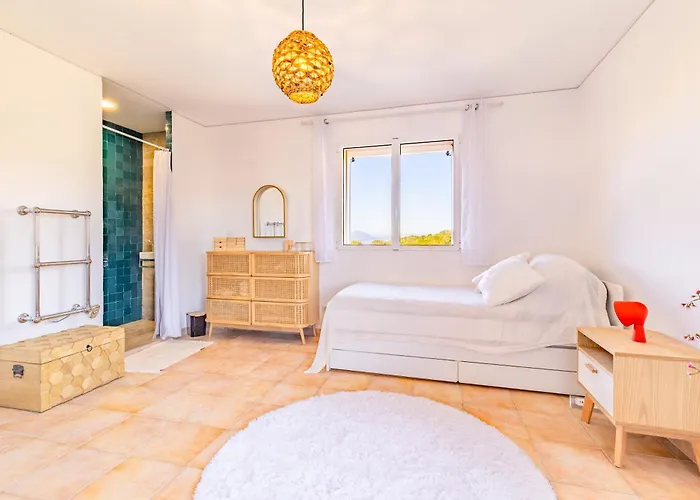 La Ronde Des Soleils