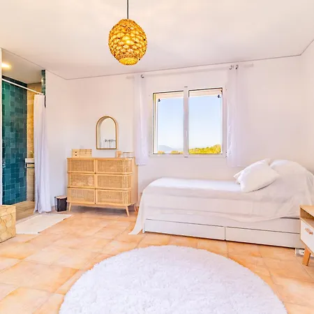 La Ronde Des Soleils